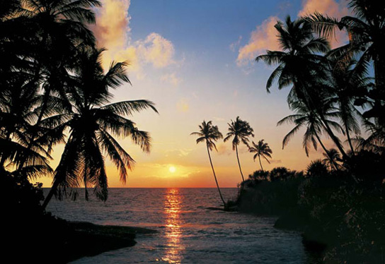 Marcos para cuadros laminas enmarcados, Tropical sundown