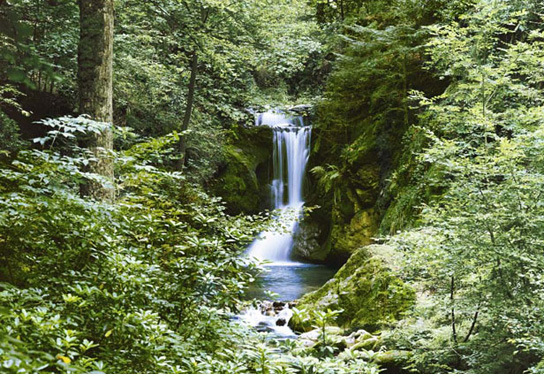 Marcos para cuadros laminas enmarcados, Water fall in spring