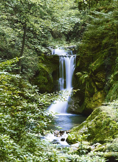 Marcos para cuadros laminas enmarcados, Water fall in spirng