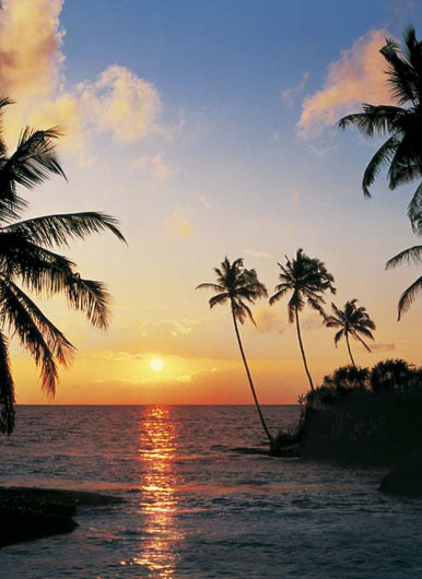 Marcos para cuadros laminas enmarcados, Tropical sun down