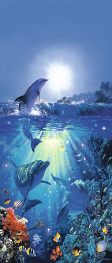 Marcos para cuadros laminas enmarcados, Dolphin in the sun