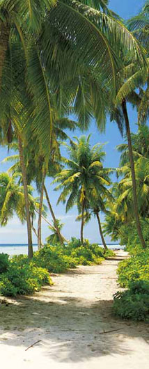 Marcos para cuadros laminas enmarcados, Tahiti