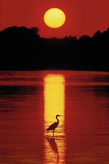 Marcos para cuadros laminas enmarcados, Sunset in Florida
