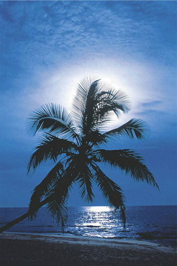 Marcos para cuadros laminas enmarcados, Moonlight
