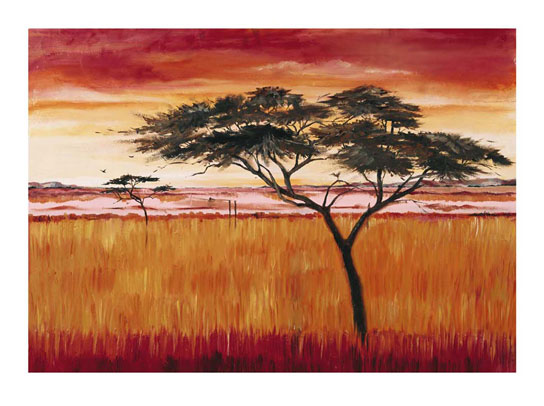 Marcos para cuadros laminas enmarcados, Serengeti dawn
