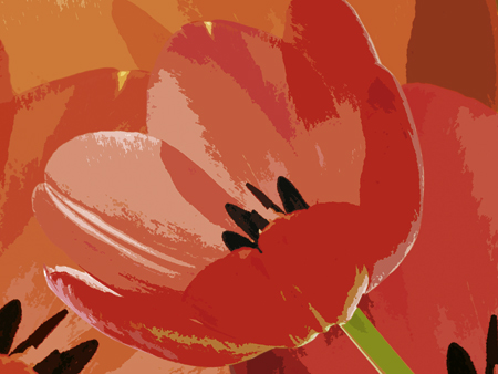 Marcos para cuadros laminas enmarcados, Tulip I
