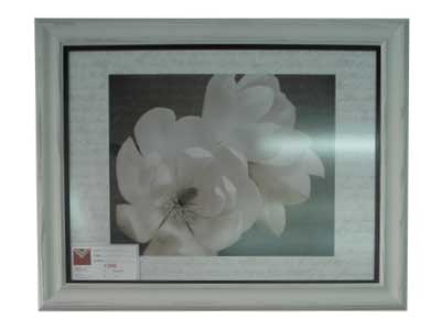 Marcos para cuadros laminas enmarcados, Magnolia