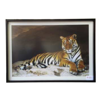Marcos para cuadros laminas enmarcados, Tigre II