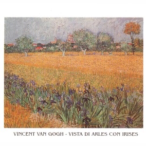 Marcos para cuadros laminas enmarcados, Vista di Arles con Irises
