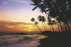Poster - Maldive Evening Enmarcado de laminas