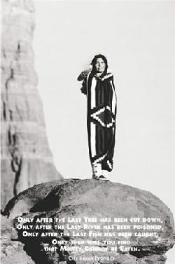 Poster - Indian prophecy Enmarcado de laminas