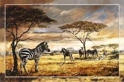 Poster - Zebras Enmarcado de laminas