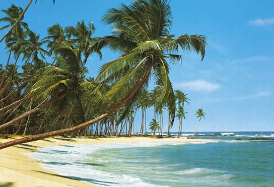 Poster para pared - Sud see