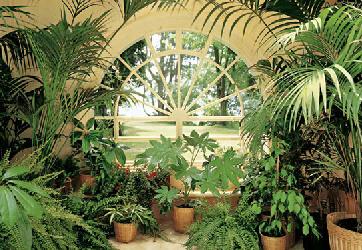 winter garden Marcos y Cuadros