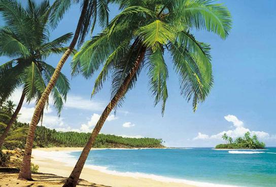 Poster para pared - Ile tropicale