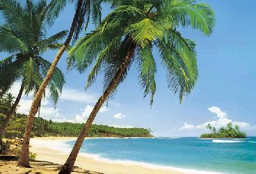 Poster para pared - Ile tropicale Enmarcado de cuadros