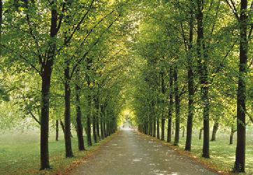 Country way Enmarcado de laminas