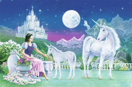 Unicorn princess