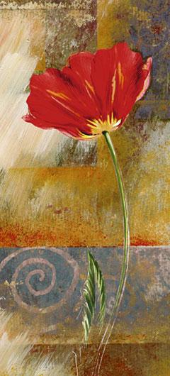Lamina - One Tulip
