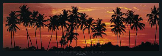 Island in the Sunset