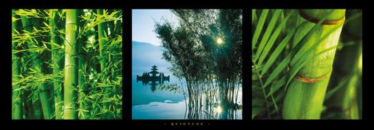 Lamina - Quietude Marcos y Cuadros