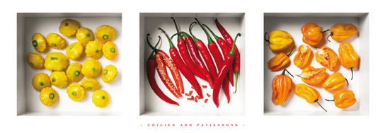 Lamina - Chilies and Patissons