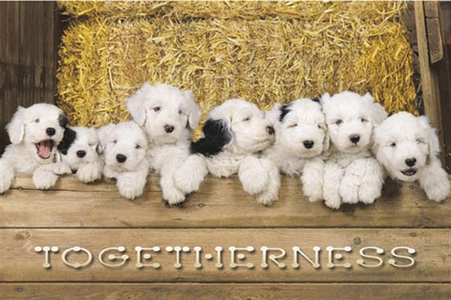 Togetherness