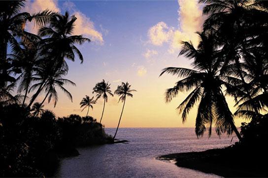 Poster - Hikka Beach