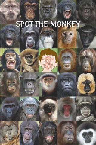Spot the monkey