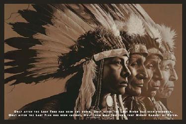 Poster - Native widsom Enmarcado de cuadros