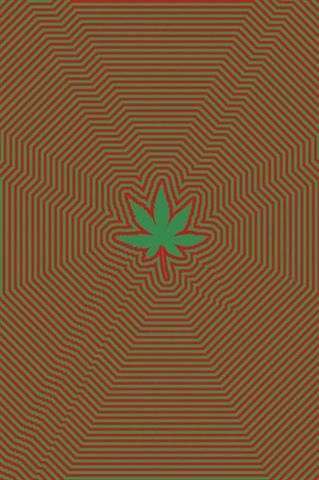 Mind Warp