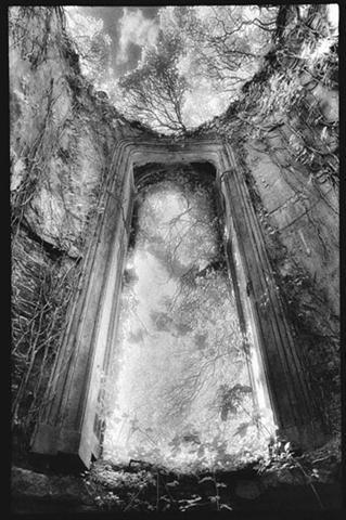 Poster - Gothic -  window