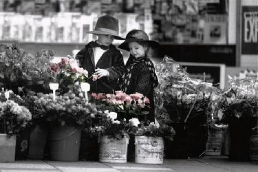 Innocence Marcos y Cuadros