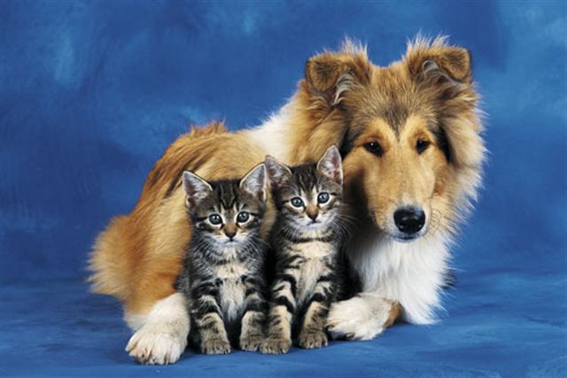 Poster - Friends forever