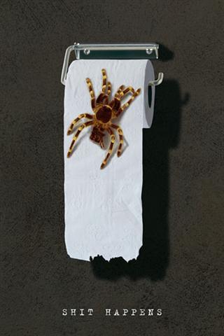 Poster - Shit happens