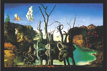 Cygnes reflechis en elephants Marcos y Cuadros