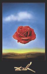 Rose mediative Marcos y Cuadros