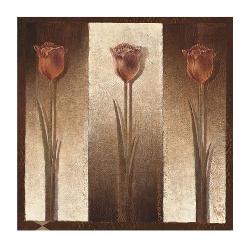 Lamina - Three Tulips  Enmarcado de laminas