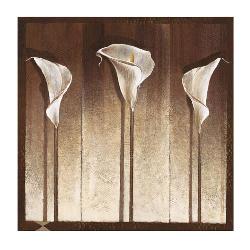 Lamina - Three Calla Lilies  Enmarcado de laminas