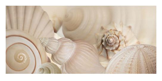 Lamina - Shells I 