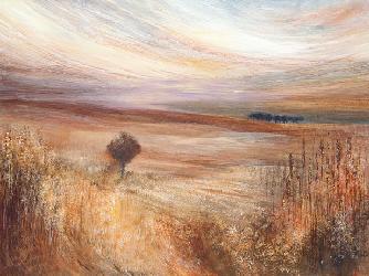 Lamina - oakley  Enmarcado de laminas