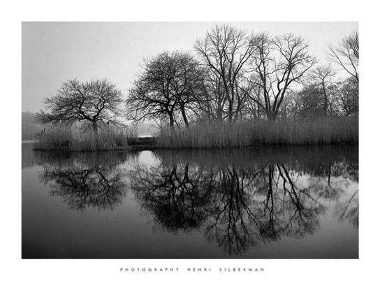 Lamina - prospect Park Morning 