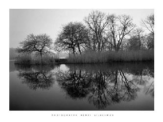 Lamina - prospect Park Morning  Enmarcado de laminas