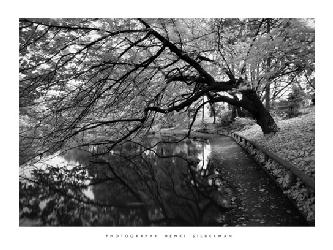 Lamina - Japanese Garden  Enmarcado de laminas