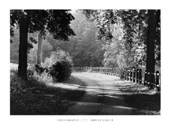 Lamina - Path into the Woods Enmarcado de cuadros