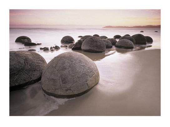 Lamina - Moeraki Morning 