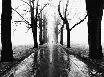 Lamina - Jogger Enmarcado de cuadros