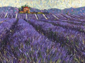 Lamina - Lavender Fields I Enmarcado de laminas