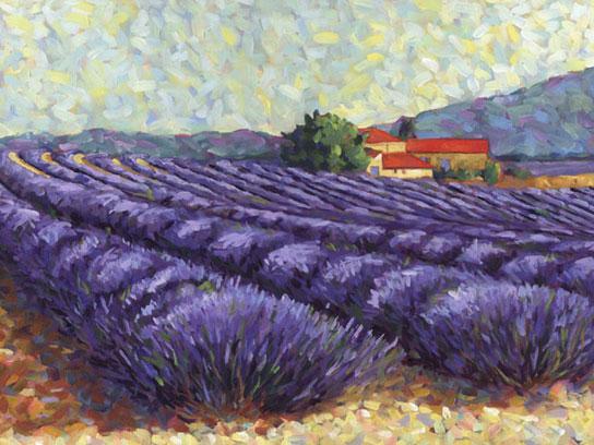 Lamina - Lavender Fiels II