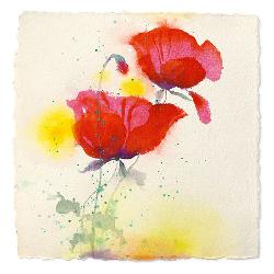 Lamina - Papaveri I Enmarcado de laminas